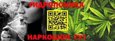 гидра Кандалакша