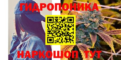 мет Канаш