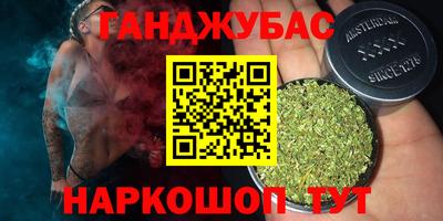 гидра Кандалакша