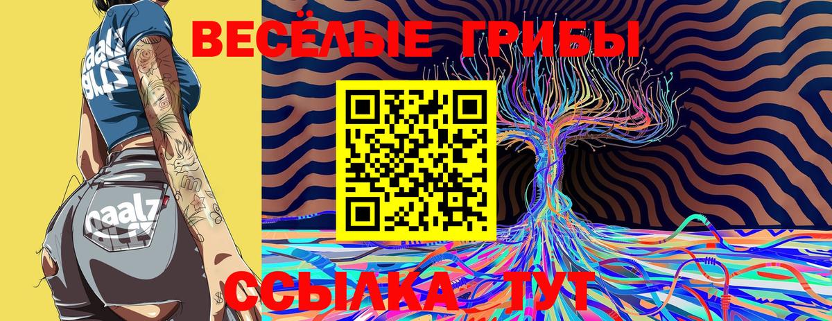 Камень-на-Оби  Псилоцибиновые грибы мицелий  Вход с VPN 